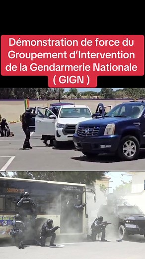 Démo de Force du GIGN au Sénégal