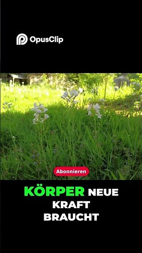 Wiesenschaumkraut: Die Frühlingspflanze mit besonderer Kraft!
