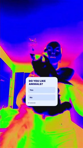 DO YOU LIKE ANIMALS? ⁠#shorts #funnycats #8cats #familyhumor #relatable #cuteanimals #funny #tiktok