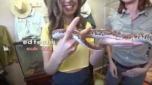 Intense Pokimane No Nut Challenge