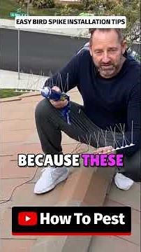 Quick Tips for Installing Bird Spikes