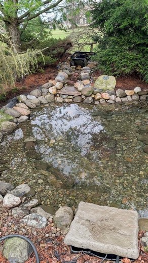 Clearing Up a Backyard Pond