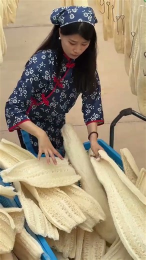 The World’s Most Satisfying Luffa Harvesting Process: Turning Giant Gourds into Taseall