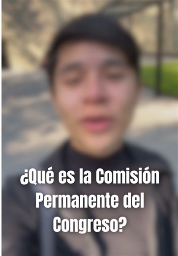 ¿Quieres saber qué es la comisión permanente? Acá te explico. 🧡