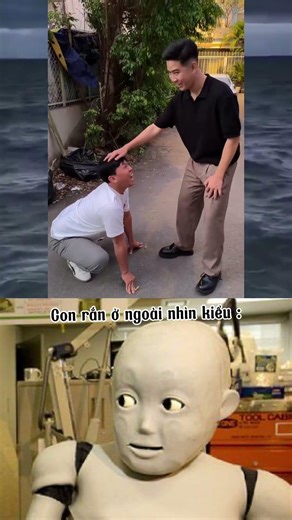 Con chó : rồi bắt nó về làm gì #memes #memehub #memesvideo #funny #haihuoc #memesguru2 #viralvideo