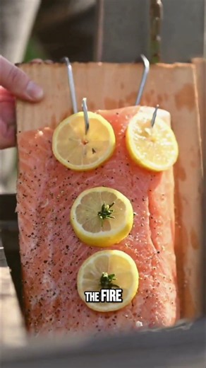 Cedar Plank Salmon Over A Live Fire