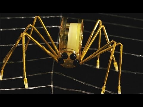 Stop Motion Animation / Tool Insects