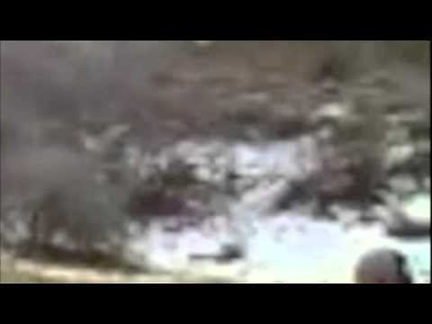 #18 of 62 "Sasquatch startled while watching kids shoot" bigfoot sightings