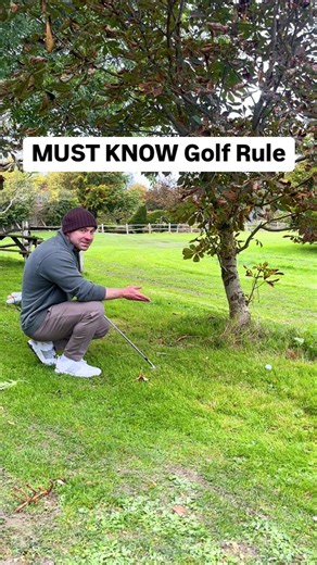 Guys, Rule 15 states that you get relief from all Loose Impediments and Moveable Obstructions. #golf #golflife #golfcourse #golfswing | Professional Golf Advisor