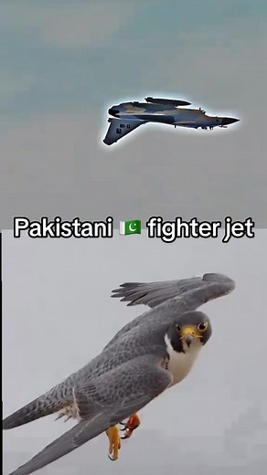 Pakistani Fighter Jets: A Showcase of Power