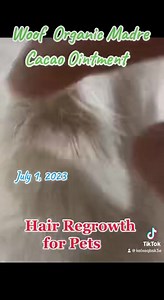 BEFORE AND AFTER USING WOOF PRODUCTS! ✔️PURE ORGANIC & NO CHEMICAL INGREDIENTS ✔️SAFE TO ANY BREED OF DOGS OR CATS ✔️GUARANTEED SAFE & EFFECTIVE | WOOF Premium Organic Dog Shampoo and Soap