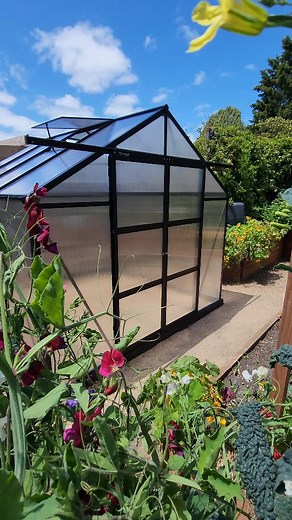 I've been dreaming of a big greenhouse for years and today was finally the day 🙌 We went with the Garden Pro 2400 in black from @sproutwellgreenhouses and it fits in perfectly. It's 2.5m x 2.5m so plenty of space for a garden bed, seed raising section and a potting bench - all in good time though. For now, I'll just be sitting back admiring it 😍 | Ash's Backyard Garden