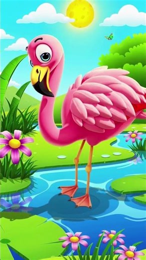 The Flamingo Song 🦩 | Fun Learning Song for Kids | Little Explorers Show