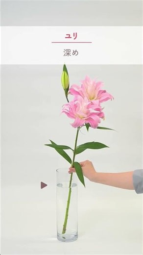 お花の種類によって適切な「お水の量」が違うのをご存知ですか？ #花キューピット