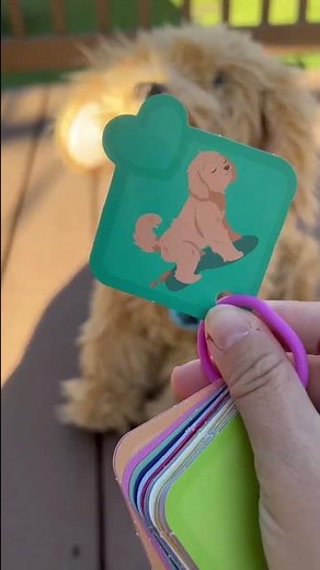 New Puppy #moji #labradoodles #puppy #newpuppy #interactive #asmr #dogs #newtoys #toyunboxing #toys