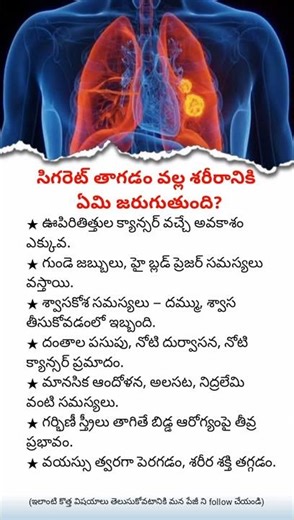 What Happens Inside Your Body When You Smoke | Dangerous Side Effects of Smoking