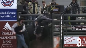 18K views · 273 reactions | The Top 5 bulls advancing to the short go...