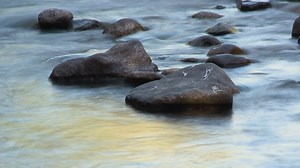 Close up of a rocks in a river  - Free Stock Video