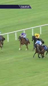 The loose horse just wanted to win the race! | Racing TV