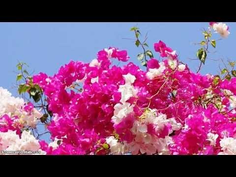 github gist | how to paste code