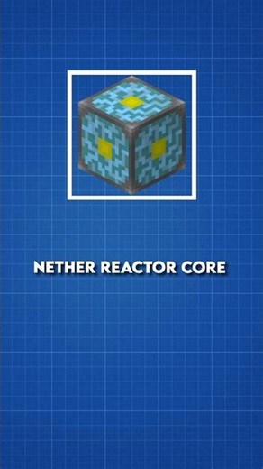 Minecraft 7 Years Old Secret Block 😳