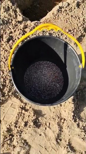 Sweet Corn Planting (Part 1) All steps Starting with Soil Preparation!