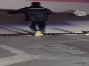 Pets Who Look Like Their Humans  (VIDEO)