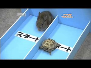 うさぎとかめ