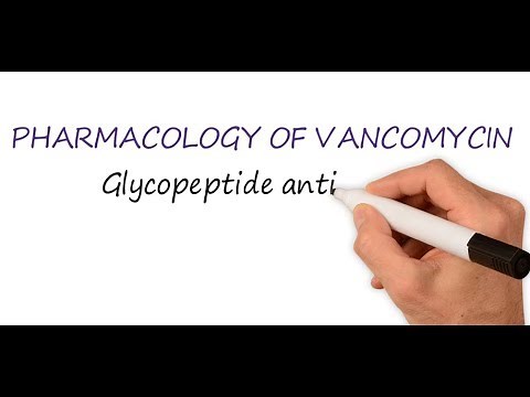 Vancomycin Mechanism of Action