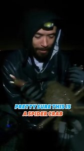 52K views · 609 reactions | Night Fishing Surprise: Found A Spider Crab! 呂 #crabs #fishing #adventure | Fisherman's Life | Facebook