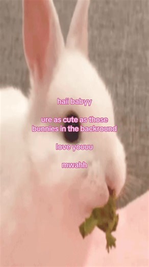 Adorable Bunnies and Sweet Love Expressions