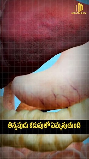 How Is Food Digested in the Human Body? | Human Digestive System Explained in Simple Words#facts