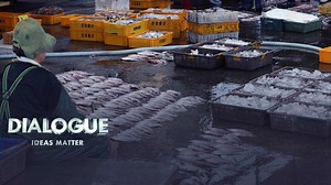 Japan's nuclear-contaminated water discharge: Consequences & reactions - The Global Herald