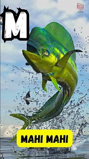 ABC Fish A to Z 🐠 | Alphabet Song with Ocean Fish for Kids | UZR Kids #abcd #kids #shorts