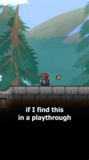 The BEST Pets in Terraria!