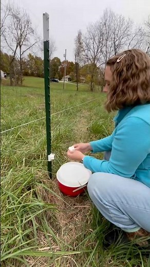 Life hacks for t post installation #homestead #diy #fencing #pastureraised #sheep