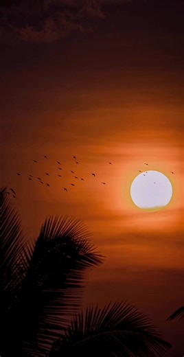 Musical Showcase: A Voice Like Naledie's