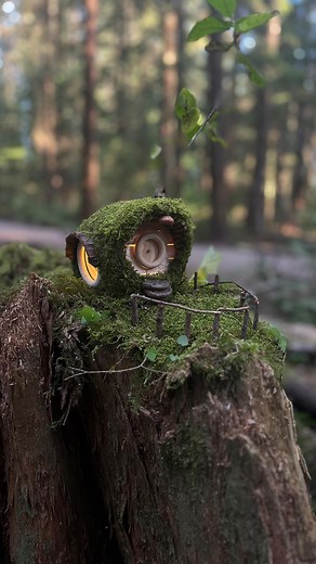 Maryinthefairyland on Instagram: "DIY Fairy House - built with recycled & natural materials. Full DIY video tutorial on my YouTube channel: https://youtu.be/P1uoG3v7Pv0 #fairyland #fairyhouse #fairyhouses #fairyhome #feenhaus #diyfairyhouse #naturalfairyhouse #creatingfairyhouses #greenroof #minicobhouse #pixiehouse #gnomhaus #gnomehome #wichtelhaus #hobbithouse #portmoody @WooGlobe Verified (Original) *For licensing / permission to use: Contact - licensing(at)WooGlobe(dot)com"