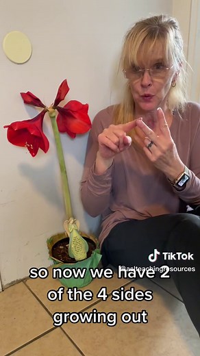 Classifiers and Flowers in ASL for Beginners
