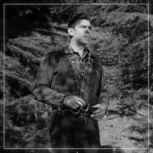 2K views · 100 reactions | The andy griffith show full episodes on Reels | Facebook