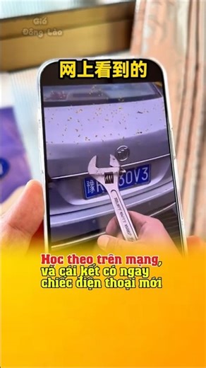 Learning from the internet is a bad idea. #funny #hai #haihuoc #giodonglao @gio_dong_lao #gio_don...