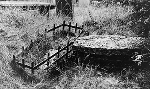 Mortsafes: metal cages around graves