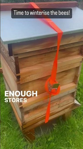 How to winterise bees the easy way! 🥷🌿🐝🤘