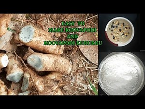 HOW TO MAKE ARROWROOT POWDER(KOOVA PODI)AT HOME AND SIMPLE KOOVA PODI RECIPE