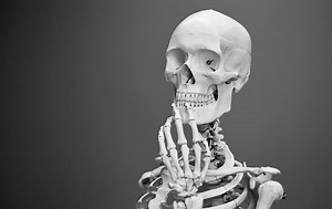 Revealing More About the Genetics of Ewing Sarcoma | Cell And Molecular Biology