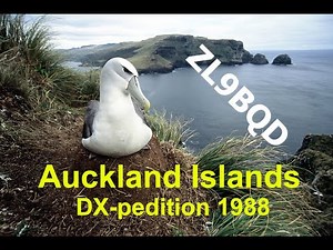 Auckland Islands 1988 DXpedition - ZL9BQD