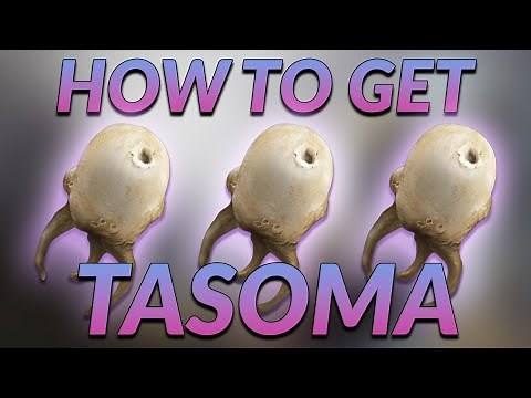 How to get Tasoma Extract in Duviri Paradox