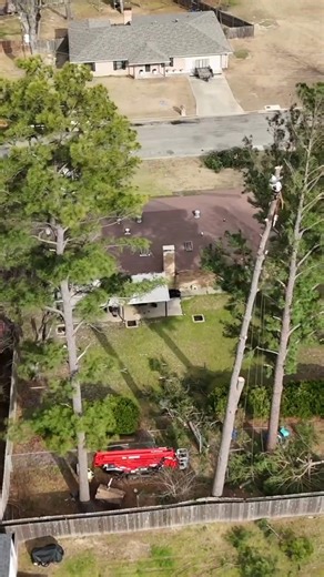 Here’s a quick look at our team in action, delivering safe, professional tree care for homes across Louisiana and East Texas. From trimming to removals, we handle every job with expertise and care.  Need reliable tree service?  Call 318-415-0199 to schedule your free estimate. #TreeCareExperts #AllAboutTrees #TreeServiceReel #ShreveportLA #TexasTreeCare | All About Trees | Facebook