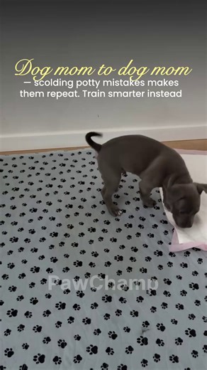 1.6K views |  The ultimate resource to potty train your dog with patience, end accidents, and bring peace back home  All the essentials in one place for a clean house and a happy dog  Clear, step-by-step instructions and a progress tracker so you can see your dog’s potty habits improve every day  Click and start building the right potty routine for your dog today  | Dog Obedience Challenge | Facebook