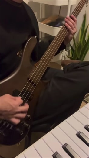 Red Hot Chili Peppers - Fortune Faded #rhcp #bass #basscover